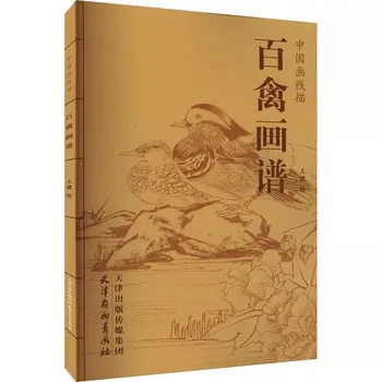 Китайский линейный рисунок, сотня птиц, спектр живописи, книга для тщательной работы кистью, может использоваться для нанесения рисунка материала татуировки