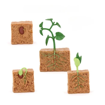 Набор реалистичных игрушек-фигурок для детей - Точная копия и модель цикла роста растений сои