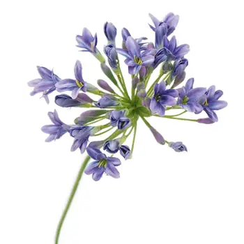 Полезный искусственный цветок, устойчивый к атмосферным воздействиям, реалистичный цветок из искусственного шелка, имитирующий цветок без обрезки