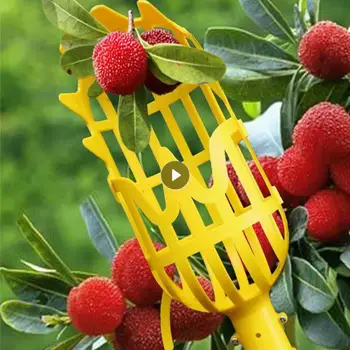 Садовая корзина с насадкой для сбора фруктов Пластиковый инструмент для сбора фруктов На большой высоте Инструмент для сбора мушмулы Bayberry