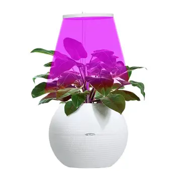 Светодиодные фонари для выращивания растений, Светодиодная лампа для растений полного спектра, Круглая лампа для растений, светодиодные лампы для растений, Зеленый укроп, Розы, Кактус Мини