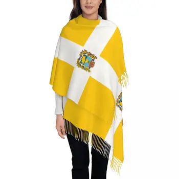 Флаг Ставропольского края, женская шаль с кисточками, модный шарф