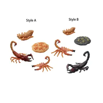 Набор жизненного цикла животных, научный игровой набор жизненного цикла скорпиона для упорядочивания подарков для вечеринок, обучающий инструмент, рассказывание историй для детей.